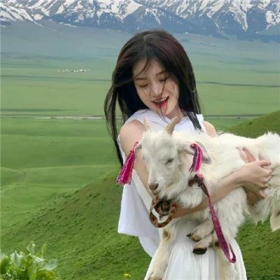 机智的公主殿下